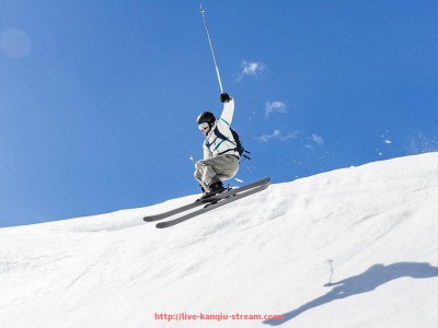 看球直播-健身器材品牌如何选择？性能与售后对比