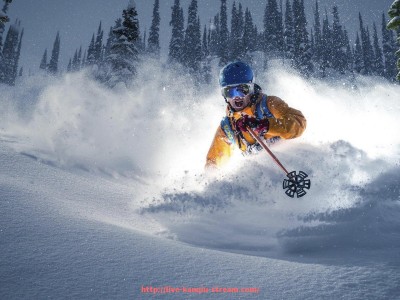 看球直播-欧冠杯与欧联杯赛事的品牌影响力及市场价值分析