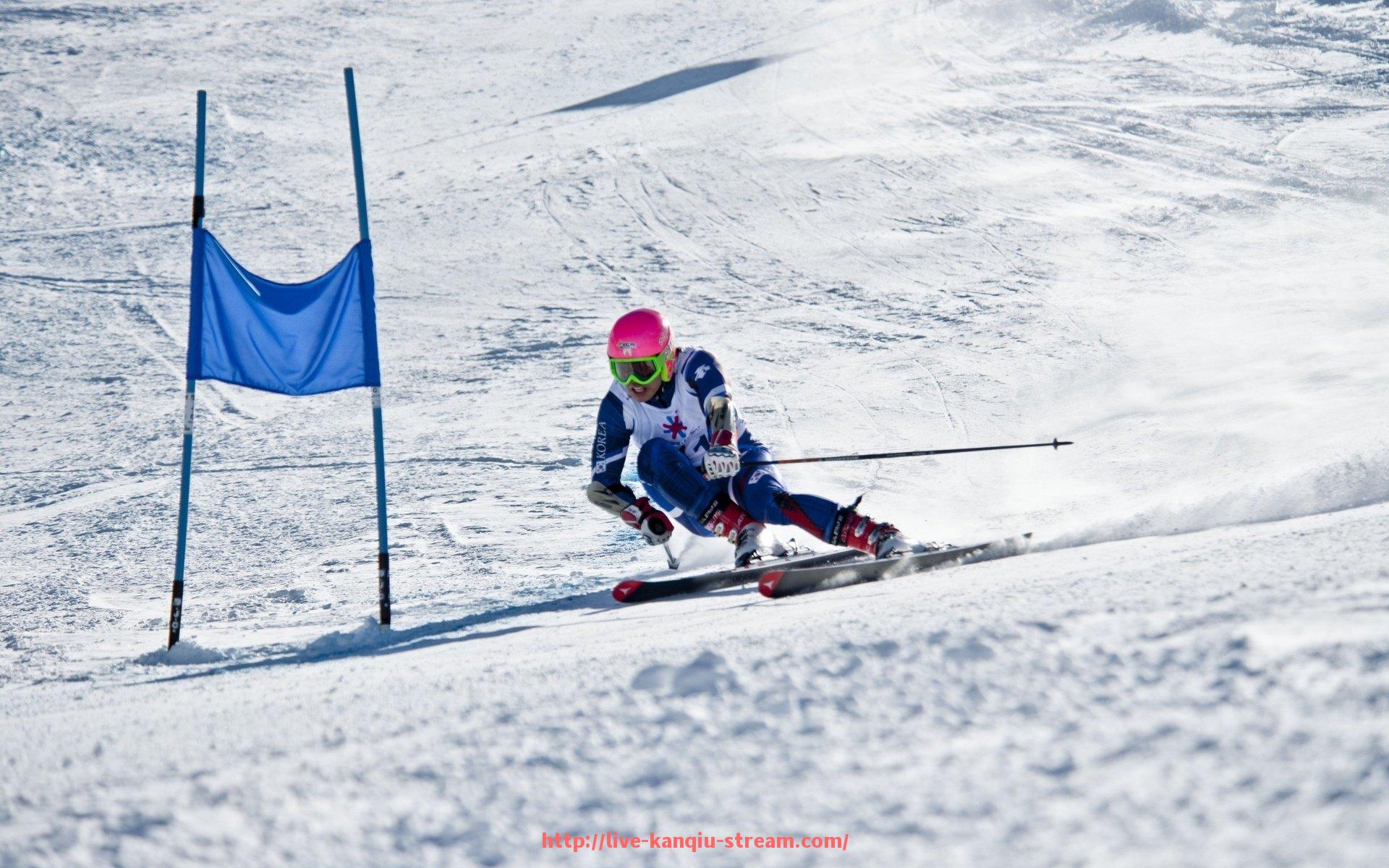 看球直播-博卡青年球队世俱杯热度分析及社交媒体关注度